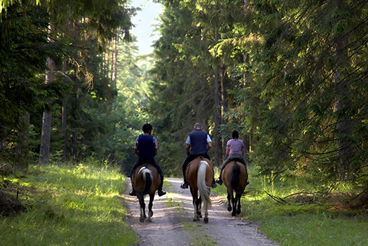 Fox Harb'r Trail Rides