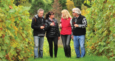 Private Wine Tours