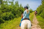 Fox Harb'r Resort horseback trail rides forest trail