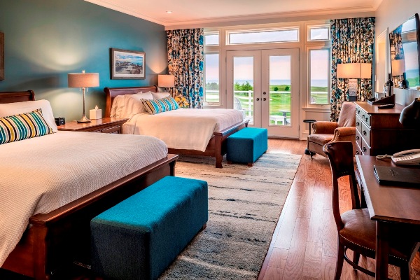 Accomadation Studio Suites
